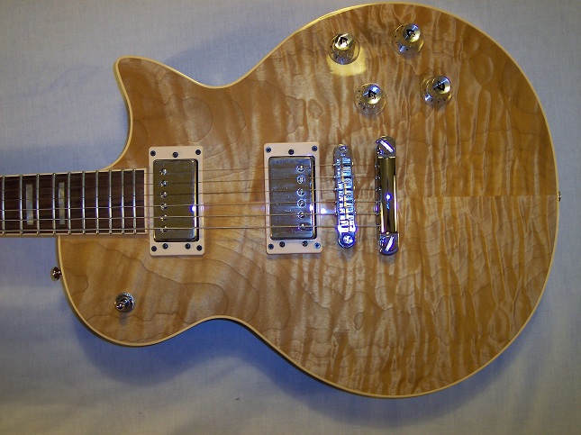 Bluesbird Picture 8